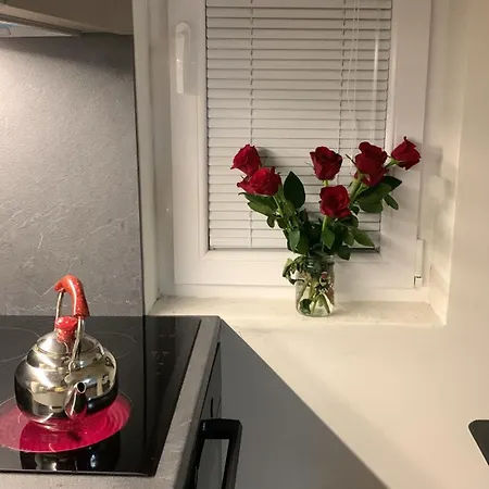 Tirana Apartment Διαμέρισμα Τίρανα